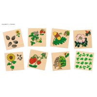 Stalo žaidimas - Memo, augalai